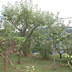 Tutnovo 13 Appartement
